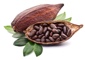 Nepražené kakaové boby – superpotravina
